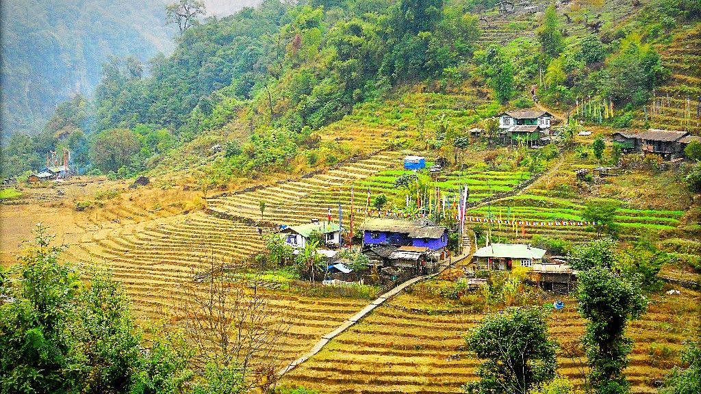 Lepchas and the Battle They Won