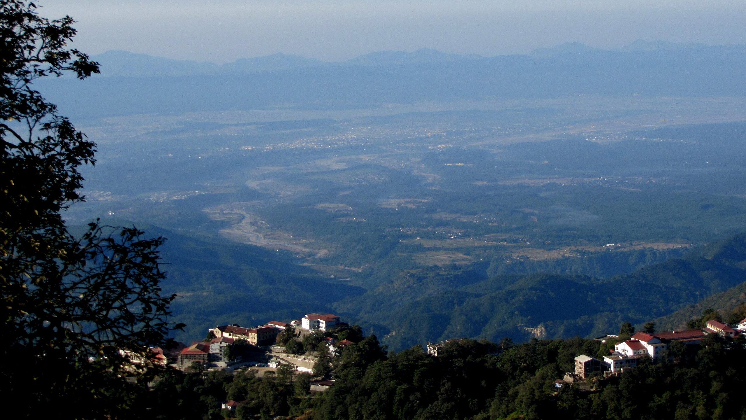 From Basmati Rice to Cricket, Dehradun’s Afghan Connection