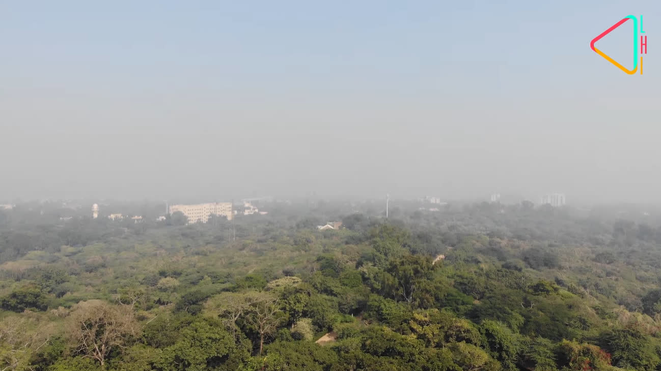 Delhi Ridge An Ecological Marvel