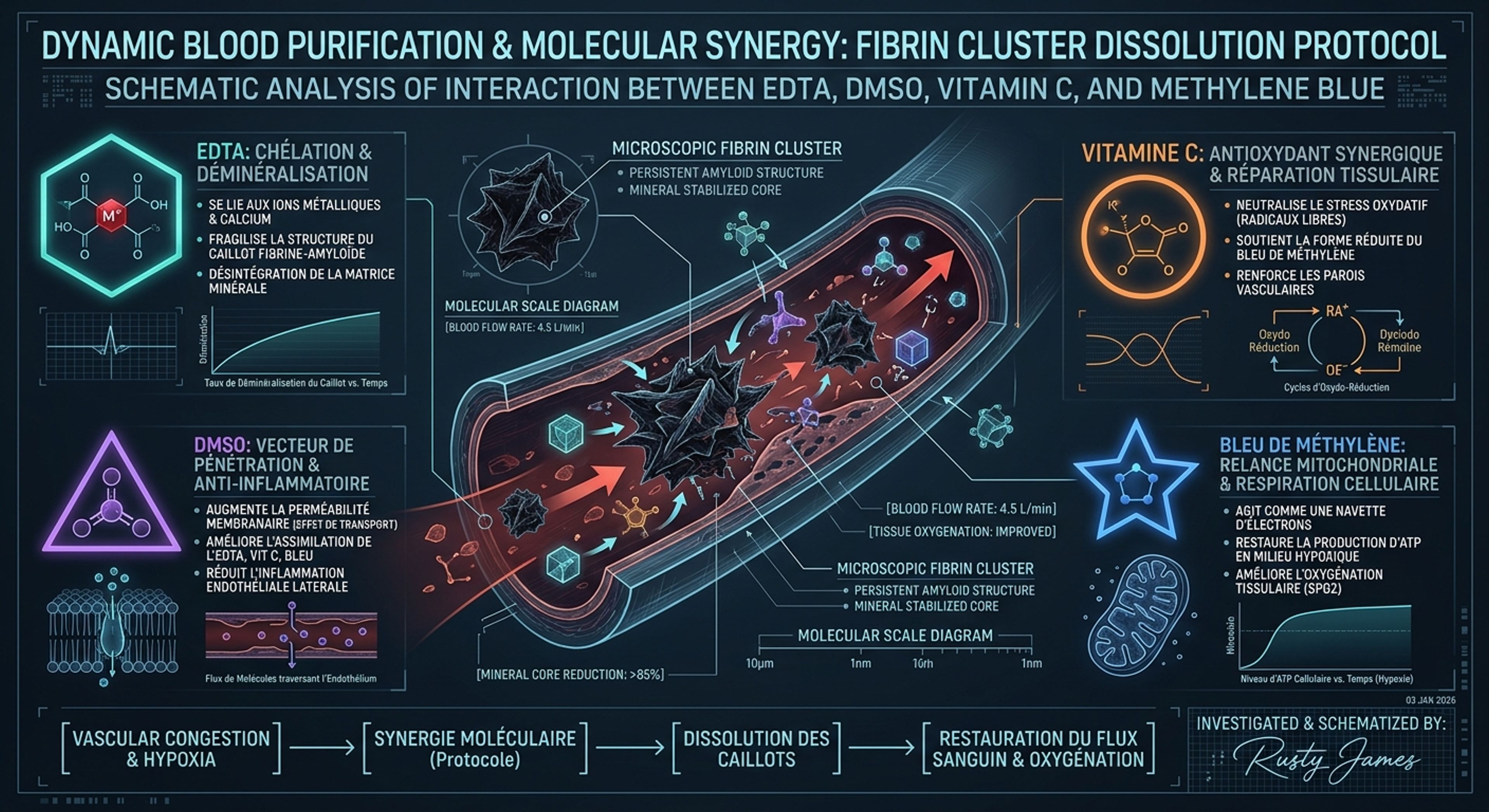  La synergie biochimique face aux micro-caillots : l'action réparatrice de l'EDTA, du DMSO, du bleu de méthylène et de la vitamine C  Par Rusty James 3 janvier 2026 L'augmentation exponentielle des pathologies vasculaires chroniques, des cas de fatigue invalidante et des syndromes congestifs inexpliqués au cours des dernières années a poussé de nombreux chercheurs indépendants et observateurs de terrain à remettre en question les approches thérapeutiques standard. Face à des millions d'individus laissés sans solution concrète, l'attention se tourne de plus en plus vers des molécules biochimiques fondamentales. Le point commun de ces affections réside dans la présence de micro-caillots fibrino-amyloïdes persistants, de véritables barrières microscopiques qui obstruent les capillaires, asphyxient les organes et bloquent la microcirculation. Pour nettoyer le sang en profondeur, restaurer la fluidité vasculaire et relancer les fonctions cellulaires, un protocole combinant l'EDTA, le DMSO, le bleu de méthylène et la vitamine C s'impose comme une alternative rigoureuse basée sur la puissance brute de la biochimie.  L'EDTA et le DMSO : Le duo de choc pour la purification vasculaire  Au cœur de cette stratégie de nettoyage sanguin se trouve l'EDTA (acide éthylène diamine tétraacétique). Cette molécule se lie de manière sélective aux métaux lourds et aux minéraux piégés dans la circulation. Les caillots amyloïdes et les plaques de fibrine ne sont pas de simples agrégats de protéines ; ils se structurent et se rigidifient en emprisonnant des minéraux et des débris métalliques. En chélatant ces éléments, l'EDTA agit comme un solvant moléculaire qui déstabilise la matrice rigide des micro-thrombi. Libéré de ses ancrages minéraux, le réseau de caillots devient vulnérable et peut être dissous naturellement par les enzymes de l'organisme, permettant ainsi de purifier le lit vasculaire. Pour que cette action soit maximale, l'EDTA doit être acheminé au plus profond des tissus et traverser les barrières biologiques les plus denses. C'est ici qu'intervient le DMSO (diméthylsulfoxyde). Ce composé soufré organique possède la propriété exceptionnelle de modifier temporairement la perméabilité des membranes cellulaires sans les endommager. Le DMSO agit comme un véhicule ou un vecteur d'assimilation ultra-rapide. En ouvrant les vannes tissulaires, il permet à l'EDTA et aux autres principes actifs de pénétrer instantanément les zones les plus congestionnées. De plus, le DMSO réduit l'inflammation locale des parois veineuses (l'endothélium) et favorise une vasodilatation immédiate, restaurant le flux d'oxygène là où les capillaires étaient collabés. [ Matrice du Caillot Amyloïde ] (Rigidifiée par des métaux/minéraux)                │                ▼  (Action de l'EDTA maximisée par le vecteur DMSO)   [ Chélation et Décalcification ]                │                ▼ [ Dissolution Naturelle du Caillot ] ───► [ Restauration du Flux Sanguin ]  Bleu de méthylène et Vitamine C : La respiration cellulaire retrouvée  Le nettoyage du sang ne s'arrête pas à la simple dissolution des obstructions physiques ; il nécessite une relance de la production d'énergie au niveau cellulaire. Le bleu de méthylène est un composé unique qui cible directement la fonction mitochondriale. Lorsque les tissus subissent une hypoxie chronique (manque d'oxygène) due aux micro-caillots, les mitochondries s'essoufflent et cessent de produire de l'ATP, la monnaie énergétique du corps. Le bleu de méthylène intervient dans la chaîne de transport des électrons en agissant comme une navette métabolique alternative. Il accepte et donne des électrons de manière continue, permettant aux cellules de continuer à respirer et à générer de l'énergie, même dans un environnement appauvri en oxygène. Cela permet de dissiper le brouillard cérébral et l'épuisement systémique. Cette action est magnifiée par l'association avec la vitamine C (acide ascorbique). La vitamine C maintient le bleu de méthylène sous sa forme réduite, appelée "leuco-bleu de méthylène". C'est précisément sous cette forme décolorée que la molécule exécute ses propriétés antioxydantes les plus puissantes à l'intérieur des tissus. Parallèlement, la vitamine C renforce la structure de collagène des parois des vaisseaux sanguins, qui sont souvent fragilisées ou enflammées par les toxines circulantes. Ensemble, ces deux agents forment un bouclier antioxydant massif qui neutralise le stress oxydatif destructeur tout en réparant les micro-brèches de l'appareil circulatoire.  Une autonomie sanitaire face aux dogmes  L'efficacité de ce type de protocole repose sur la compréhension des synergies moléculaires plutôt que sur l'attente de solutions standardisées. Les substances qui composent cette approche thérapeutique ne sont pas de nouvelles molécules brevetées à des prix astronomiques ; ce sont des outils biochimiques éprouvés, dont les propriétés fondamentales sur la détoxification, la fluidification et la respiration cellulaire sont documentées depuis des décennies. Face à la faillite des options conventionnelles pour traiter les obstructions vasculaires chroniques d'origine post-infectieuse ou post-vaccinale, la réappropriation de ces protocoles par les chercheurs de terrain offre une voie d'autonomie et d'efficacité concrète pour restaurer la pureté du sang et la vitalité de l'organisme.  Références  • Monographies Bio-Chimiques, Propriétés de chélation de l'acide éthylène diamine tétraacétique (EDTA) sur les structures minérales et métalliques. • Jacob, S. W. & Rosenbaum, E. E., The Biological Actions of Dimethyl Sulfoxide (DMSO), Annals of the New York Academy of Sciences. • Visano, M. et al., Mitochondrial electron shuttling by Methylene Blue under hypoxic stress conditions, Journal of Bioenergetics and Biomembranes. • Cameron, E. & Pauling, L., Ascorbic acid and the immune/vascular response, Proceedings of the National Academy of Sciences. • Rusty James News, Dossiers d'investigation sur les thérapies alternatives et la purification sanguine.