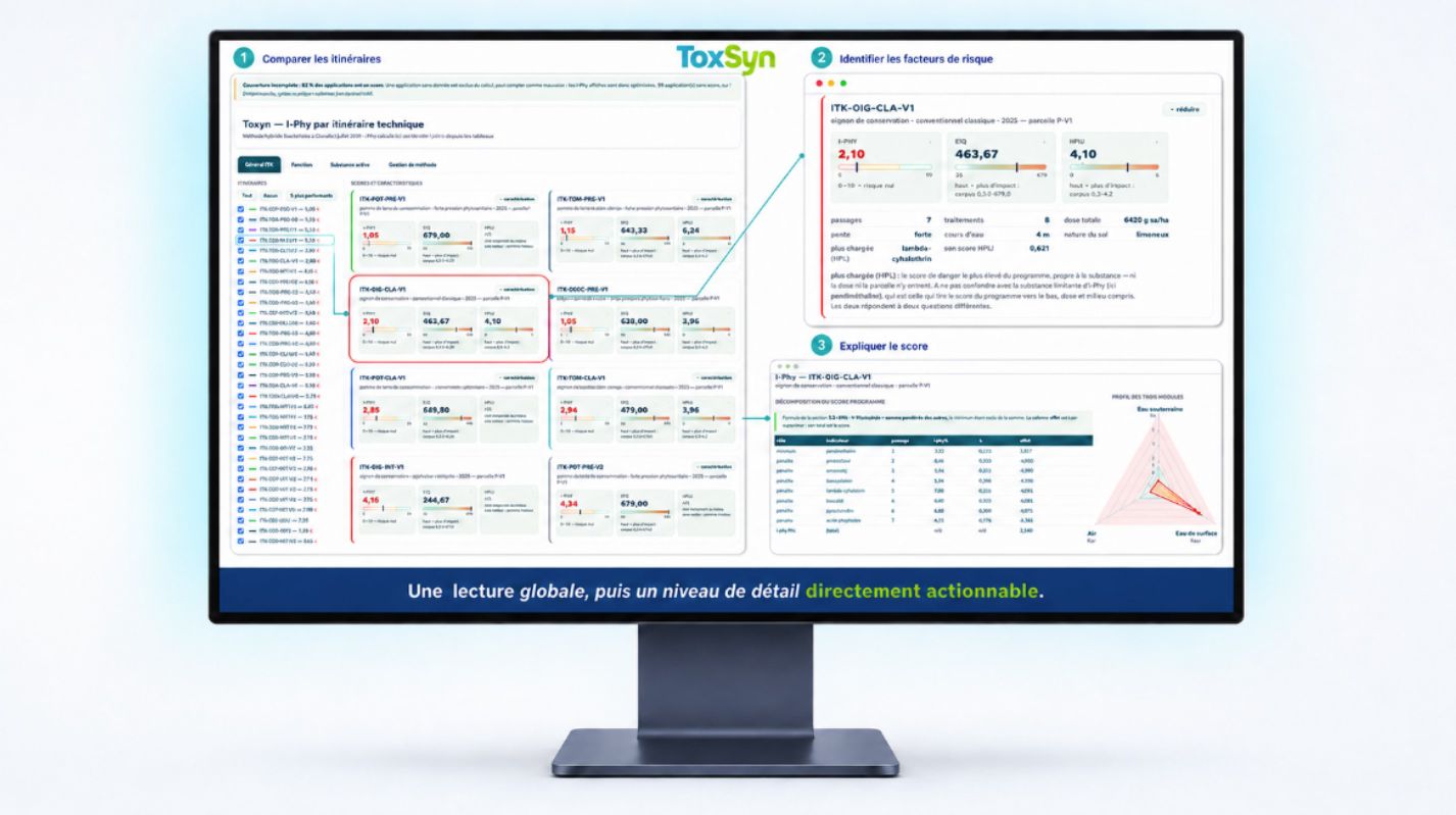 Analyse ToxSyn d'un itinéraire cultural et comparaison de scénarios