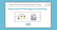 What Are Some Important Packages In Golang 
