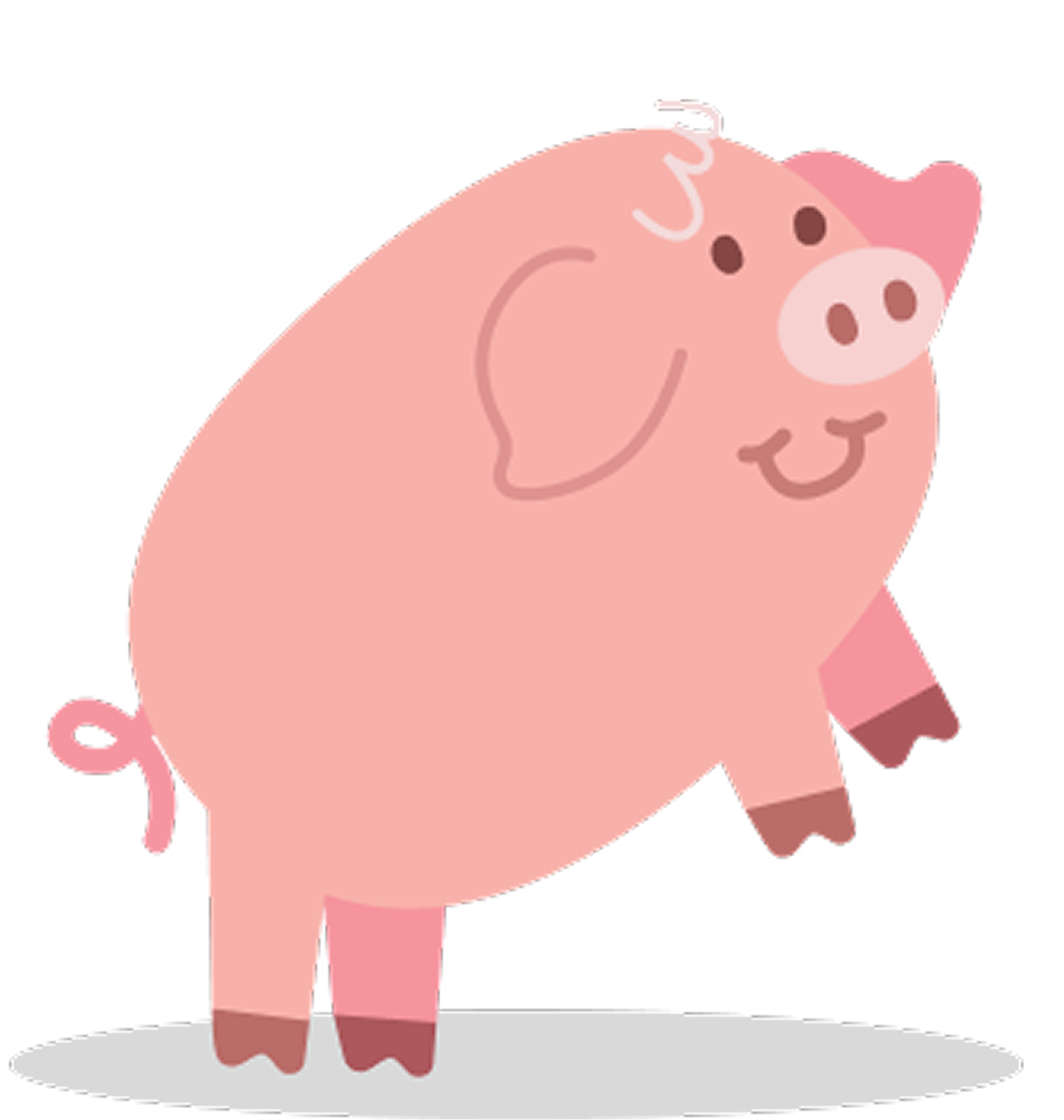 pig