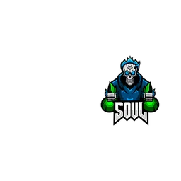 IQOO SOUL