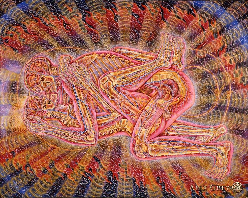 Alex Grey, Copulating, 1984. Oil on linen: two intertwined figures rendered as glowing anatomical layers of muscle, nerves and energy.