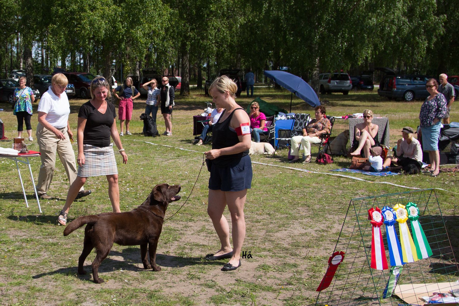 20130630_Klinga_1