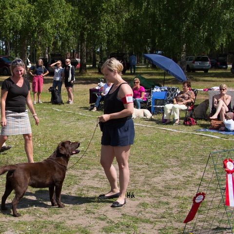 20130630_Klinga_1