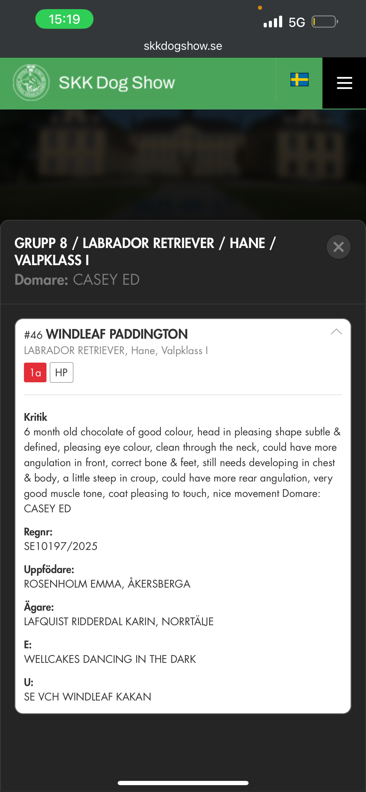 Windleaf Paddington