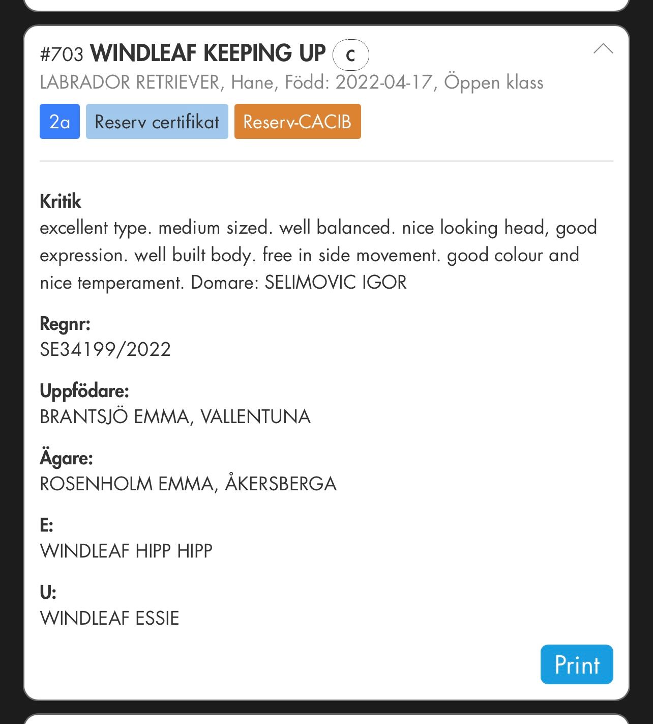 Windleaf Keeping Up