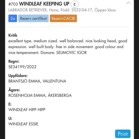 Windleaf Keeping Up