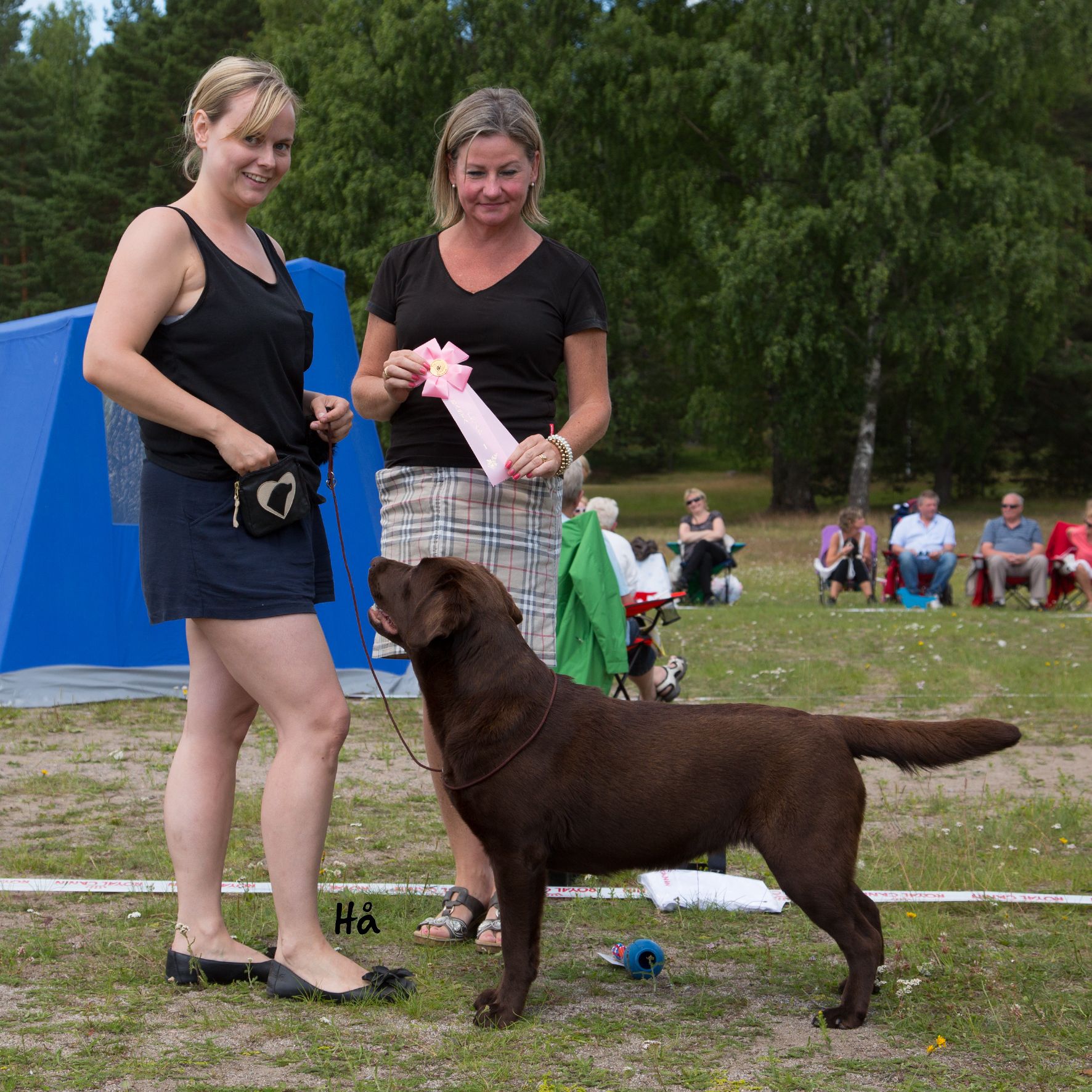 20130630_Klinga_2