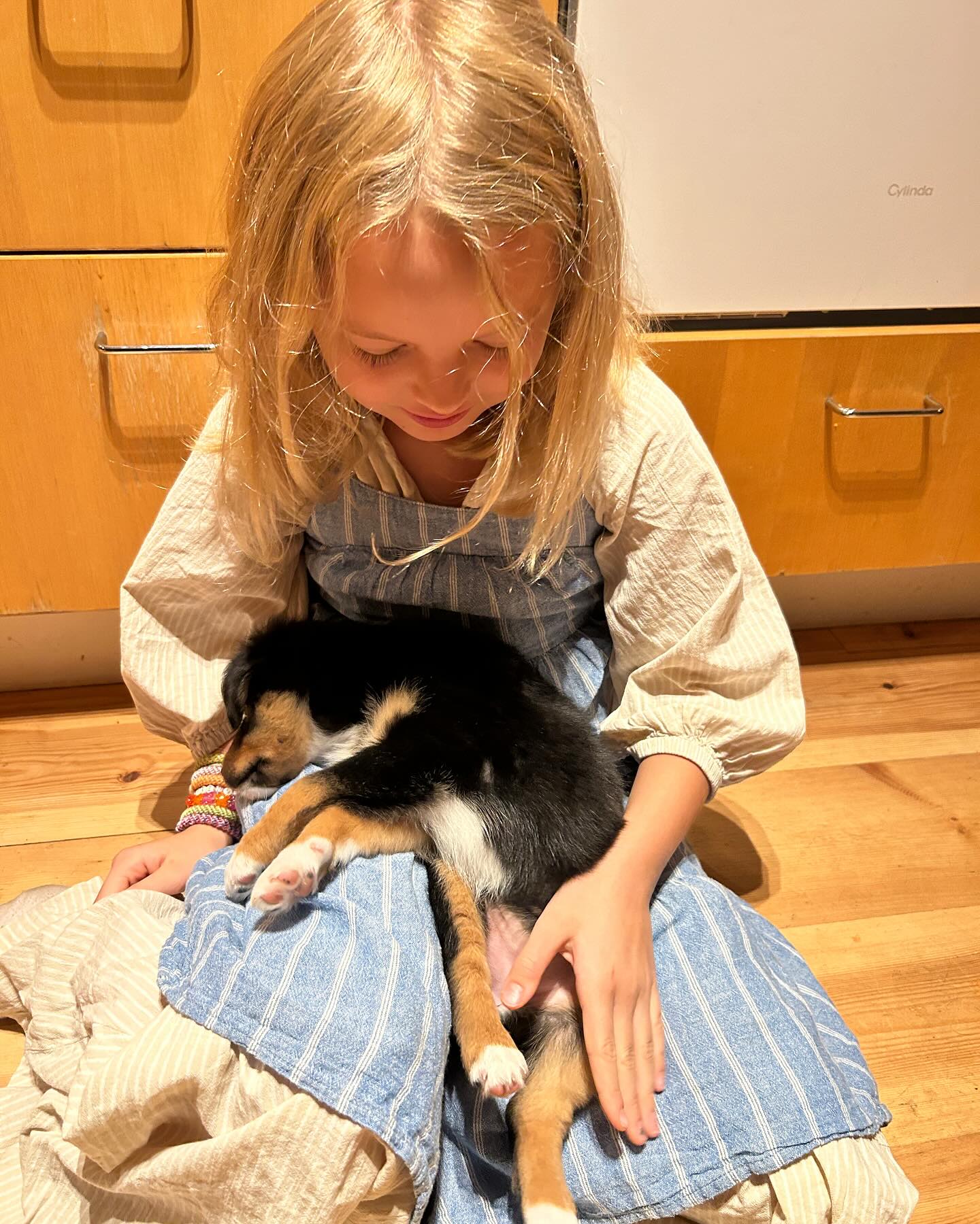 Varfågelns Märta
