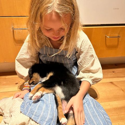 Varfågelns Märta