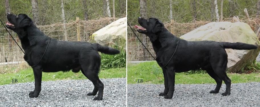 Wilton 2år 3mån