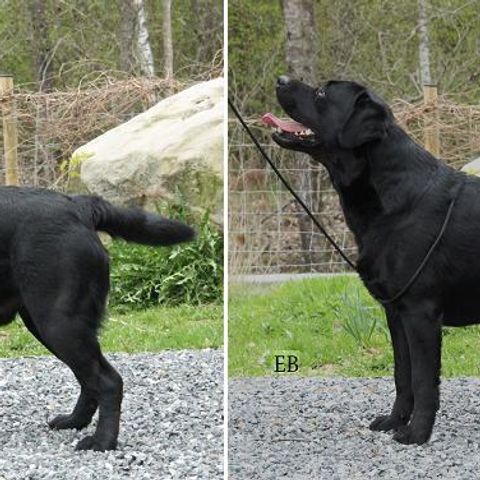 Wilton 2år 3mån