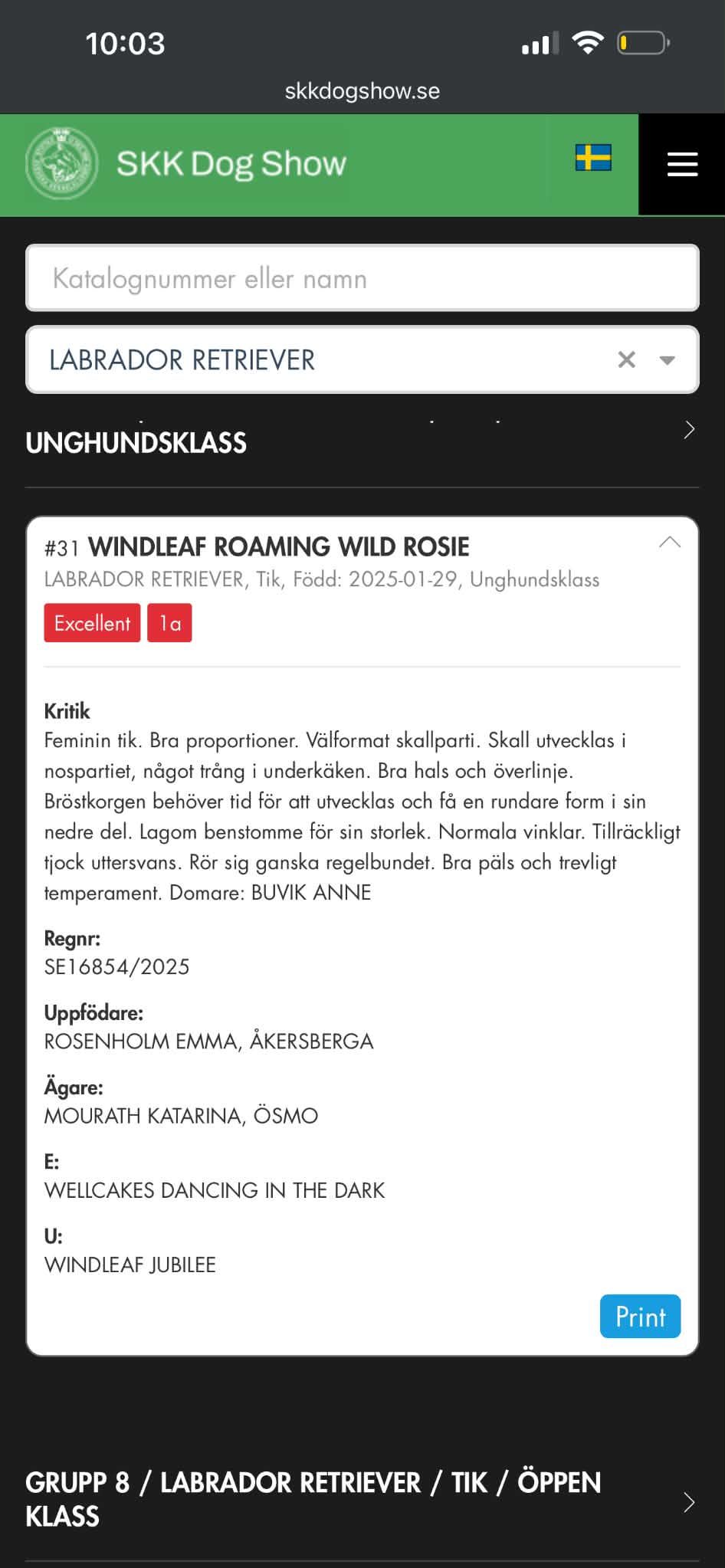 Windleaf Roaming Wild Rosie