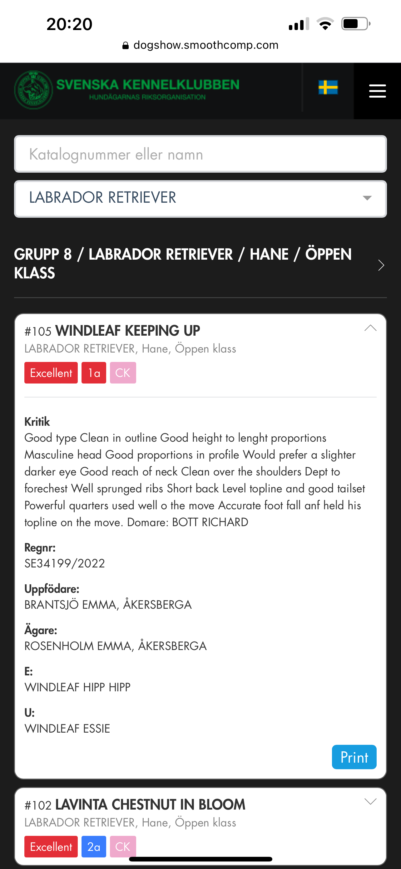 Windleaf Keeping Up