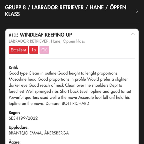 Windleaf Keeping Up