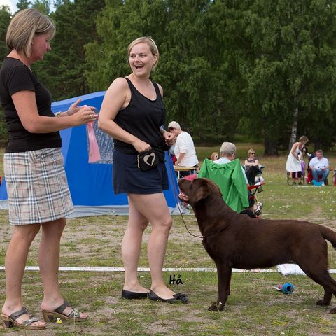 20130630_Klinga_3