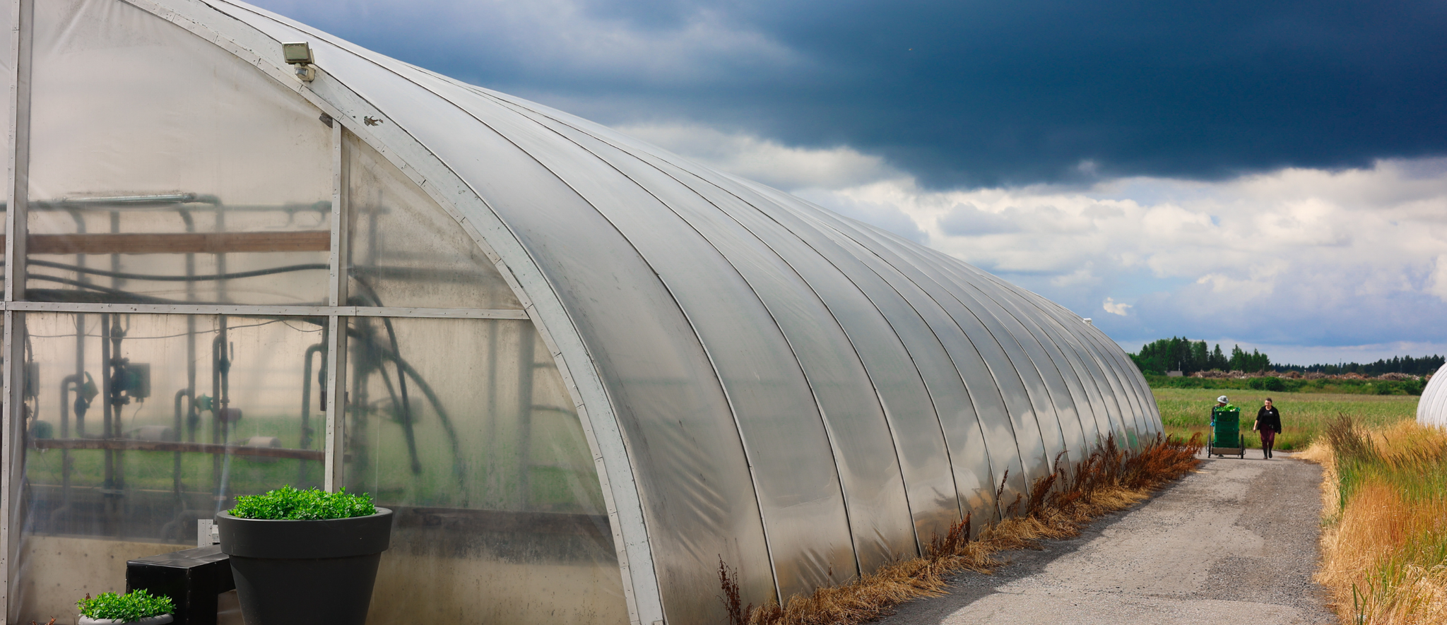 A long, translucent hoop house greenhouse sits beside a paved path under a dramatic, cloudy sky.