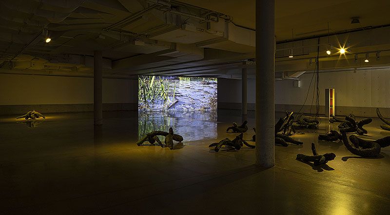 Entrevista a Samuel Domínguez