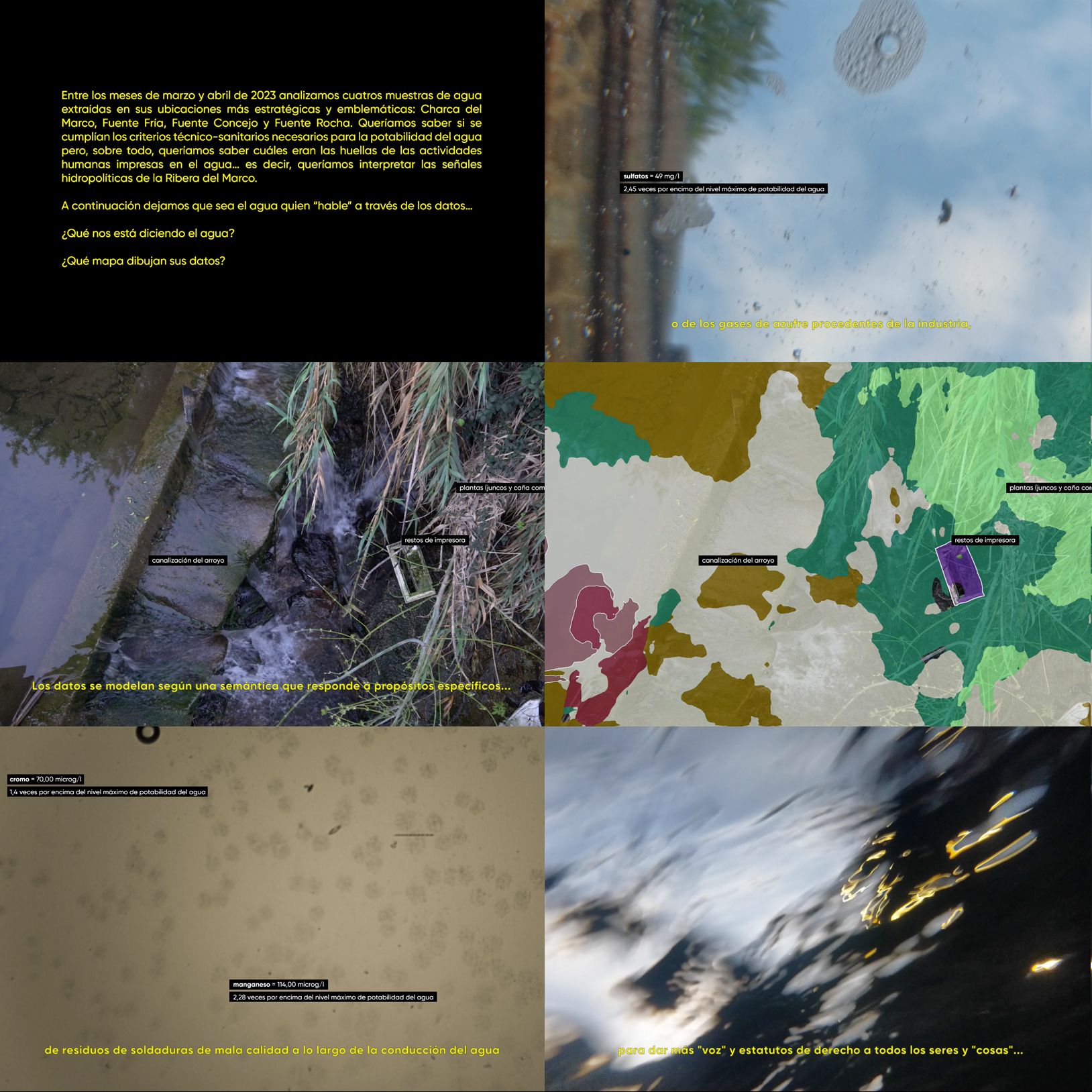 What Lies Beneath. Santiago Morilla’s Multispecies Ecologies