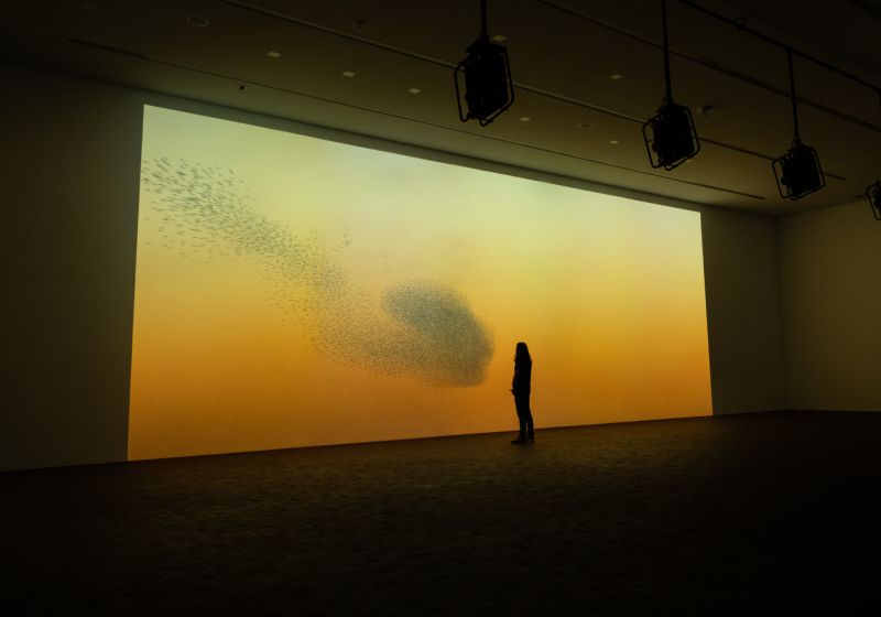 Drift. Esculturas interactivas que evocan a la naturaleza
