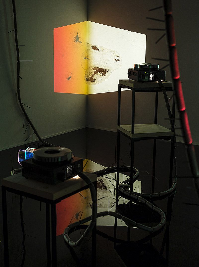 Your practice is characterised by the observation of encounters and interactions between different elements, often everyday objects. Could you elaborate on how you select these materials and what criteria you follow to integrate them into your work?