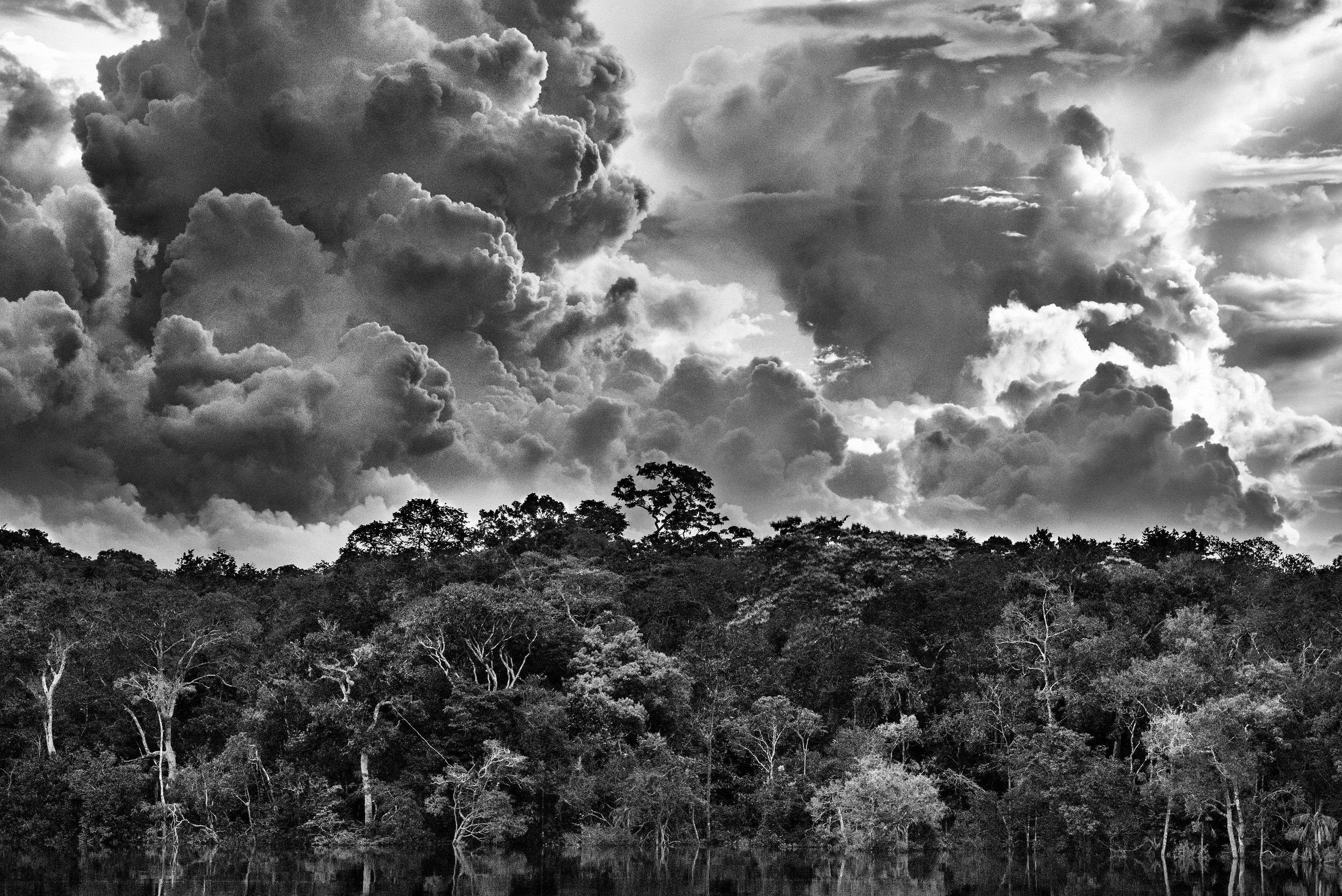Amazônia de Sebastião Salgado. Un canto a la belleza y a la fragilidad