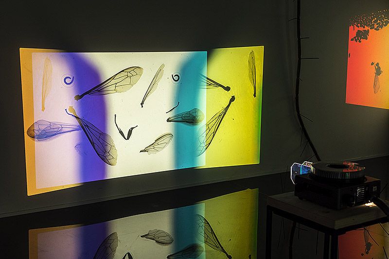 Your practice is characterised by the observation of encounters and interactions between different elements, often everyday objects. Could you elaborate on how you select these materials and what criteria you follow to integrate them into your work?