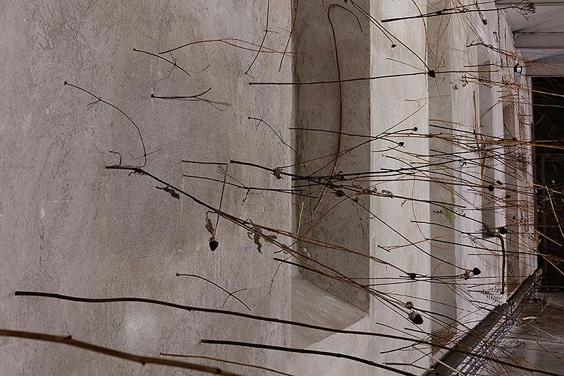 Your practice is characterised by the observation of encounters and interactions between different elements, often everyday objects. Could you elaborate on how you select these materials and what criteria you follow to integrate them into your work?