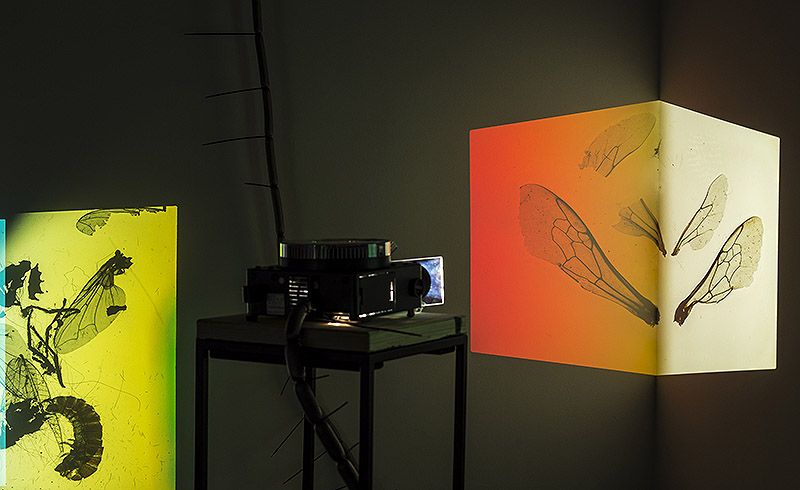 Your practice is characterised by the observation of encounters and interactions between different elements, often everyday objects. Could you elaborate on how you select these materials and what criteria you follow to integrate them into your work?