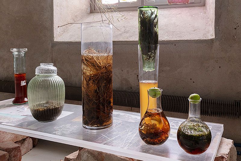 Your practice is characterised by the observation of encounters and interactions between different elements, often everyday objects. Could you elaborate on how you select these materials and what criteria you follow to integrate them into your work?