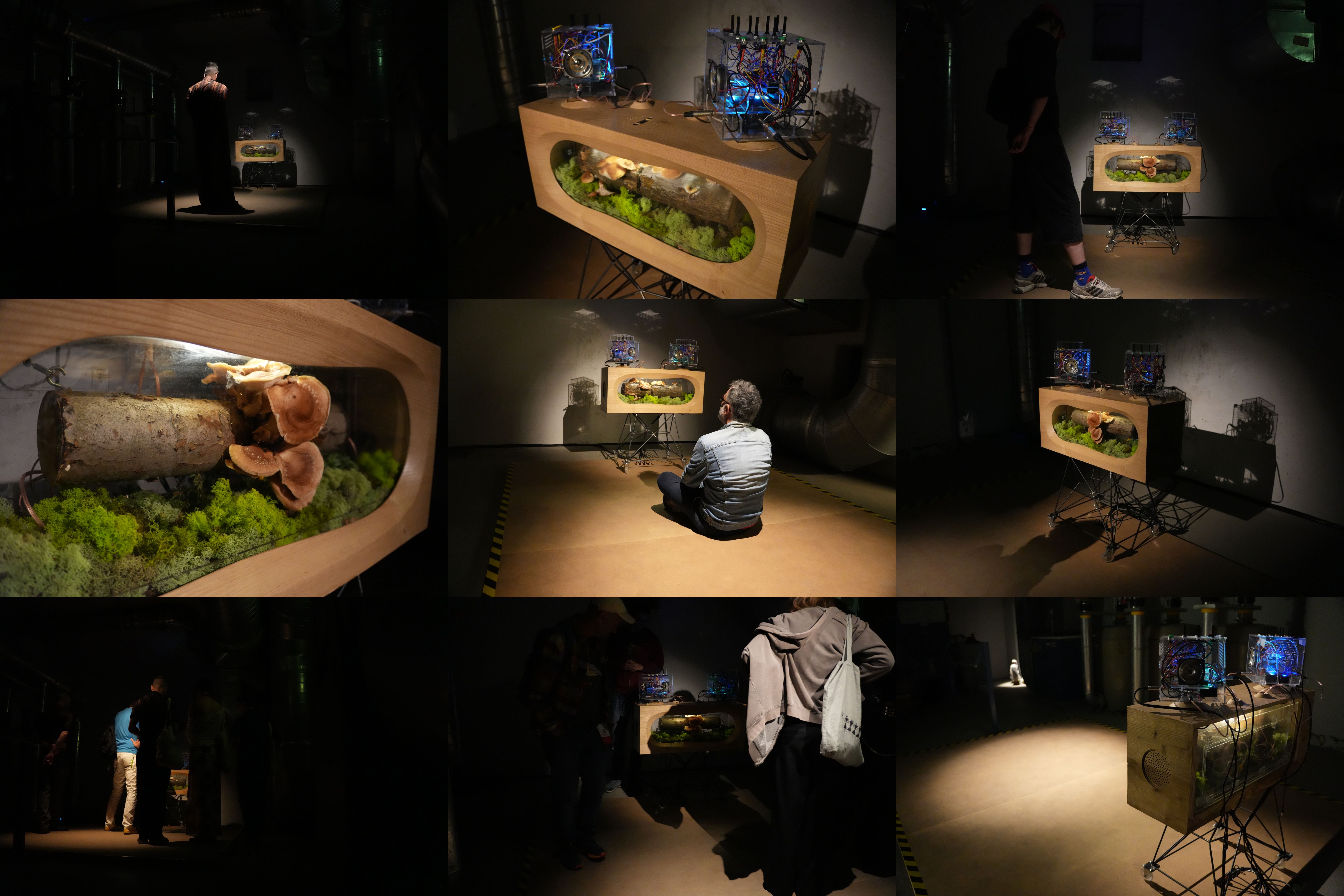 What Lies Beneath. Santiago Morilla’s Multispecies Ecologies