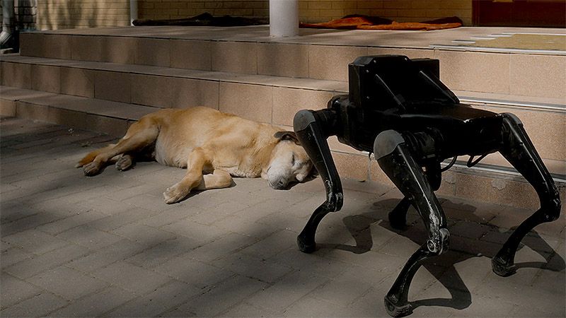 Entrevista a Yarema Malashchuk & Roman Khimei