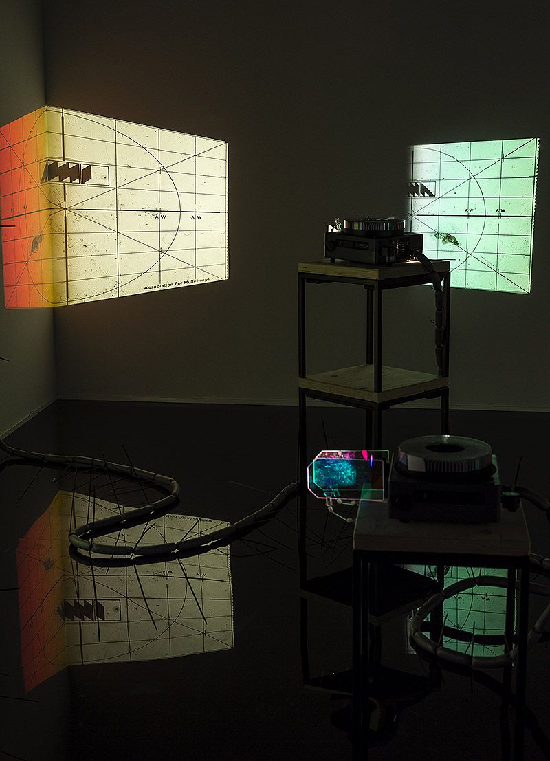Your practice is characterised by the observation of encounters and interactions between different elements, often everyday objects. Could you elaborate on how you select these materials and what criteria you follow to integrate them into your work?