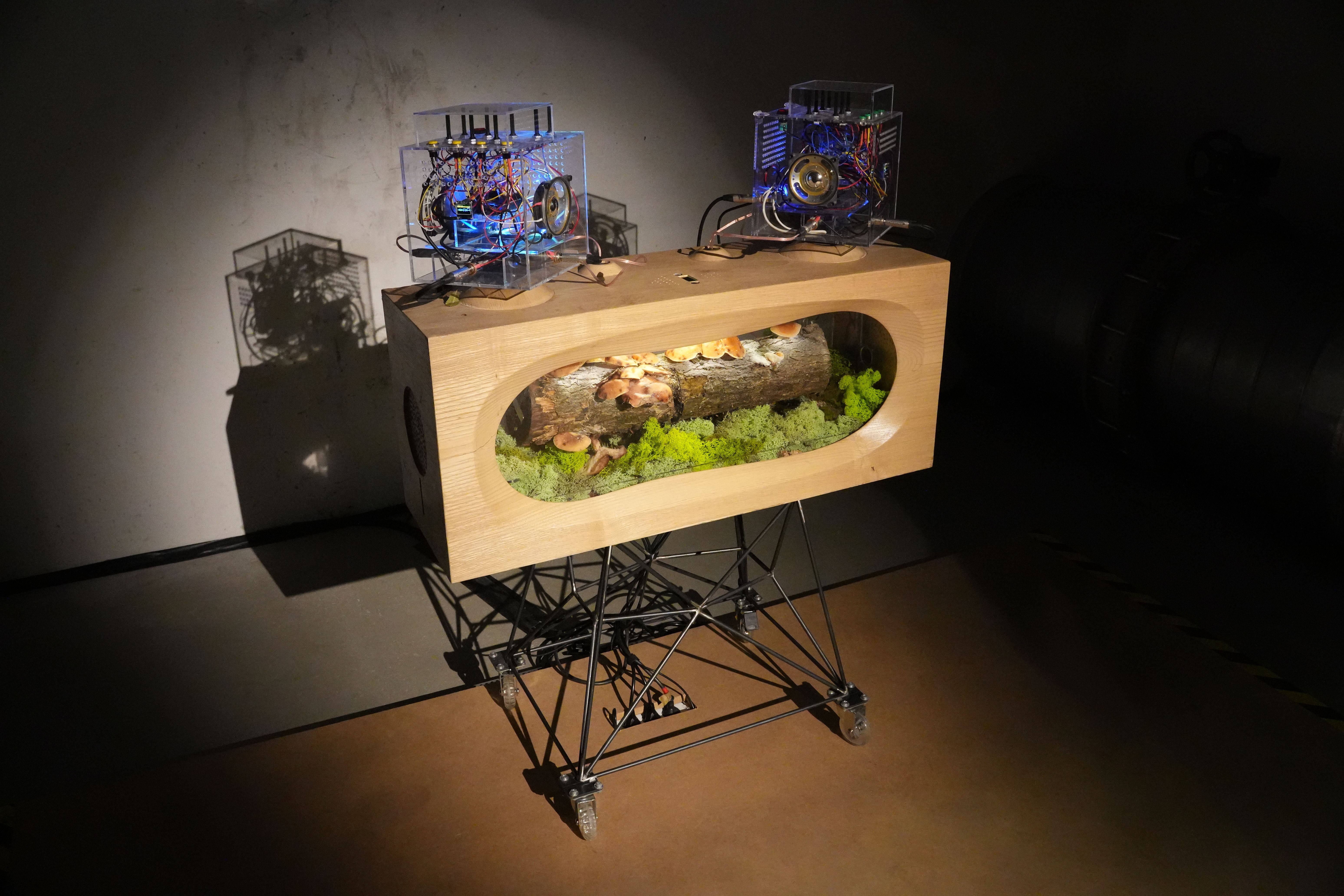 What Lies Beneath. Santiago Morilla’s Multispecies Ecologies