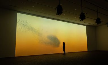 Drift. Esculturas interactivas que evocan a la naturaleza