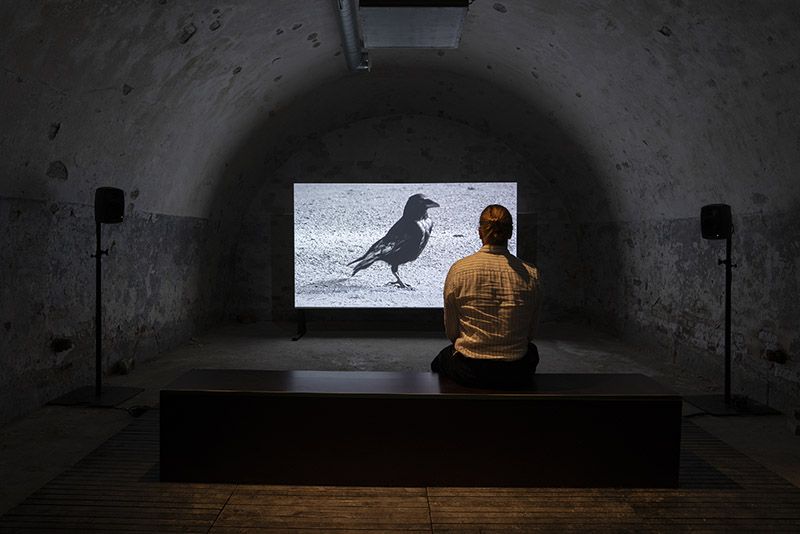 Helsinki Biennial