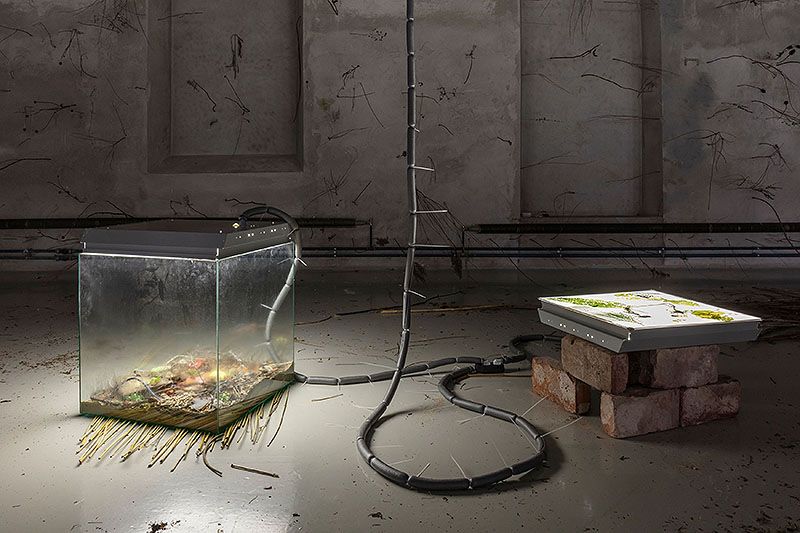 Your practice is characterised by the observation of encounters and interactions between different elements, often everyday objects. Could you elaborate on how you select these materials and what criteria you follow to integrate them into your work?