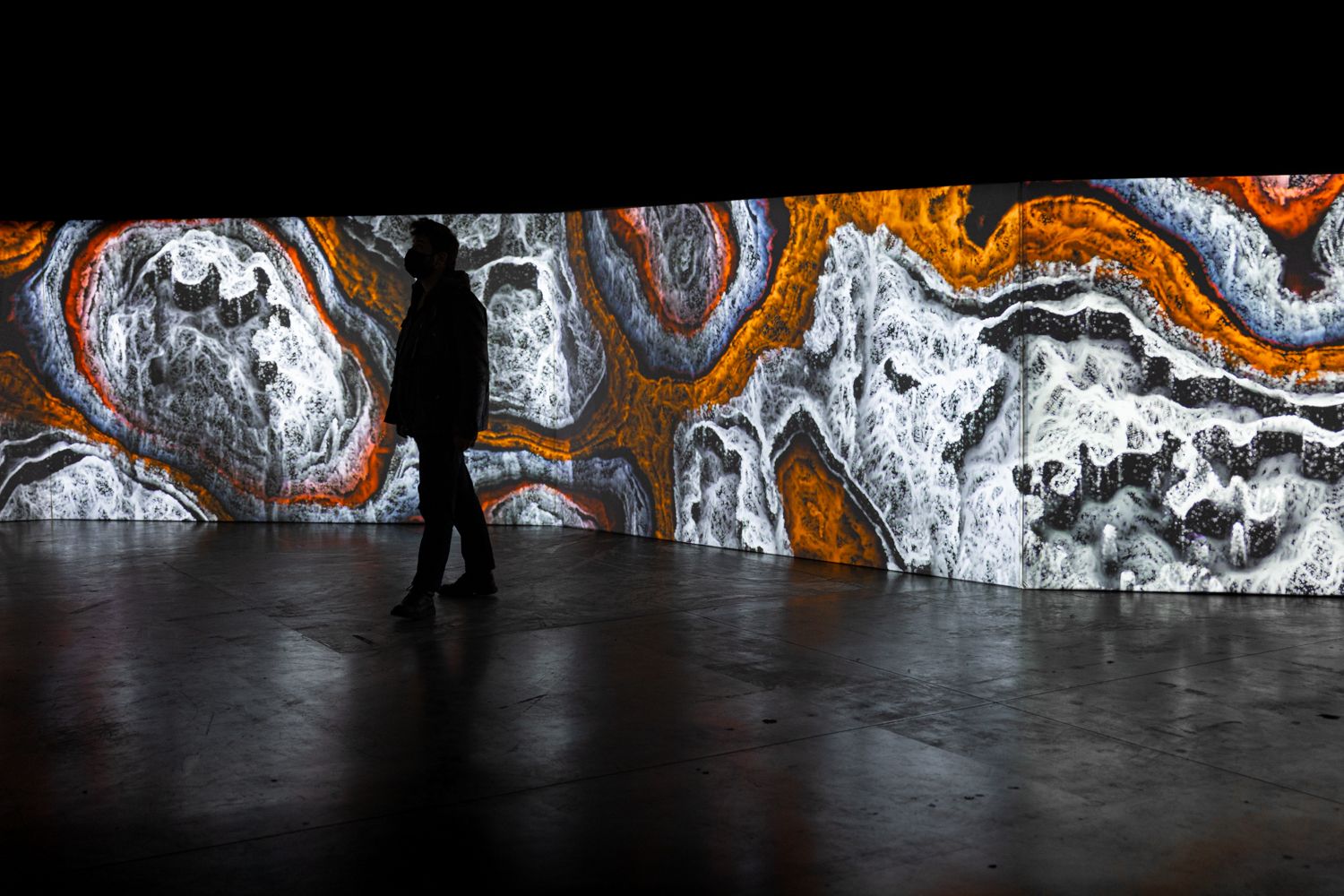 Biennale Némo