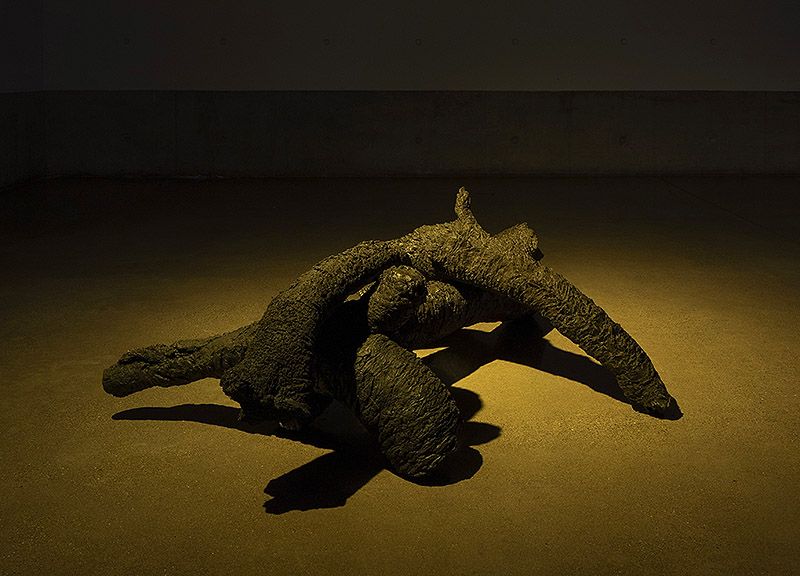 Entrevista a Samuel Domínguez