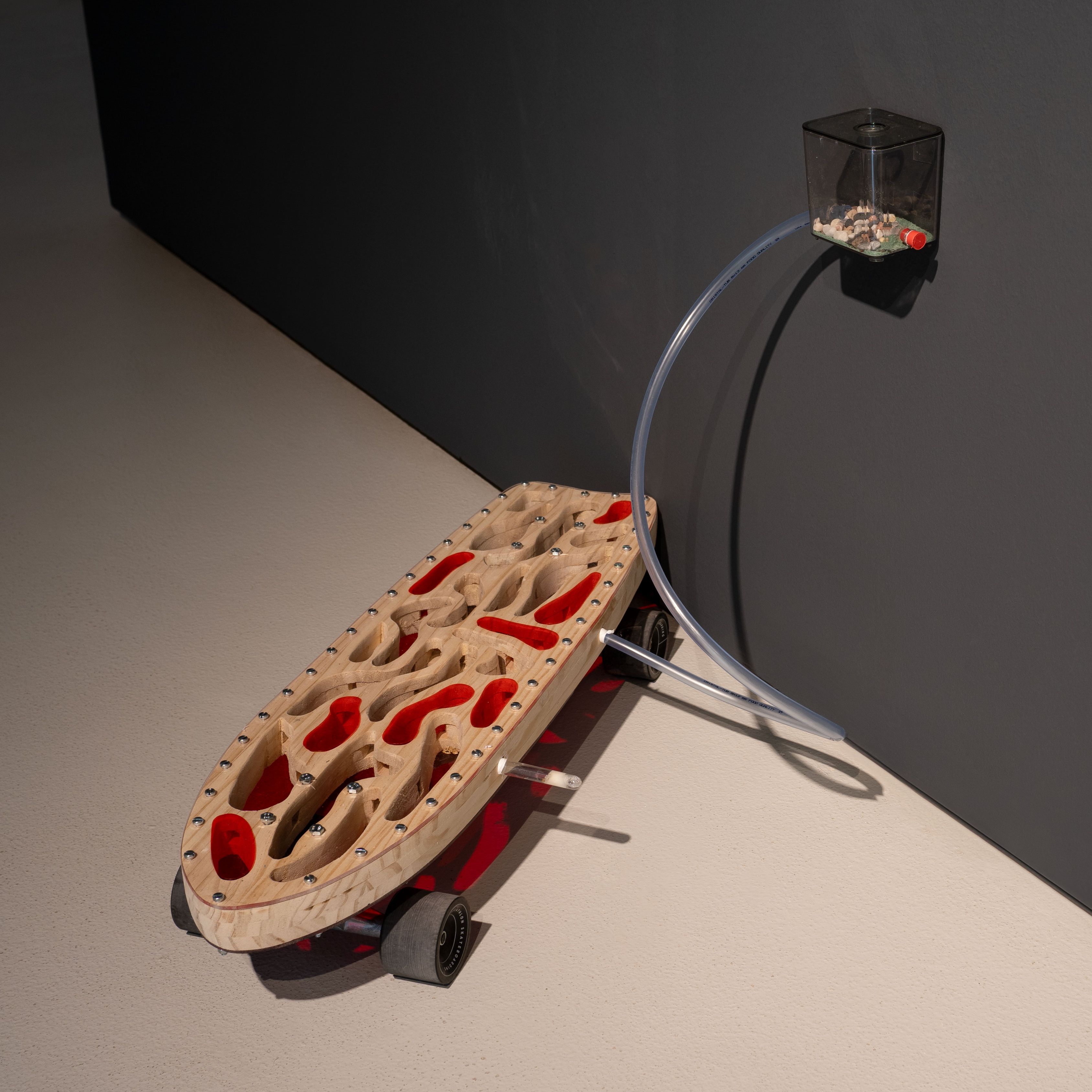 What Lies Beneath. Santiago Morilla’s Multispecies Ecologies