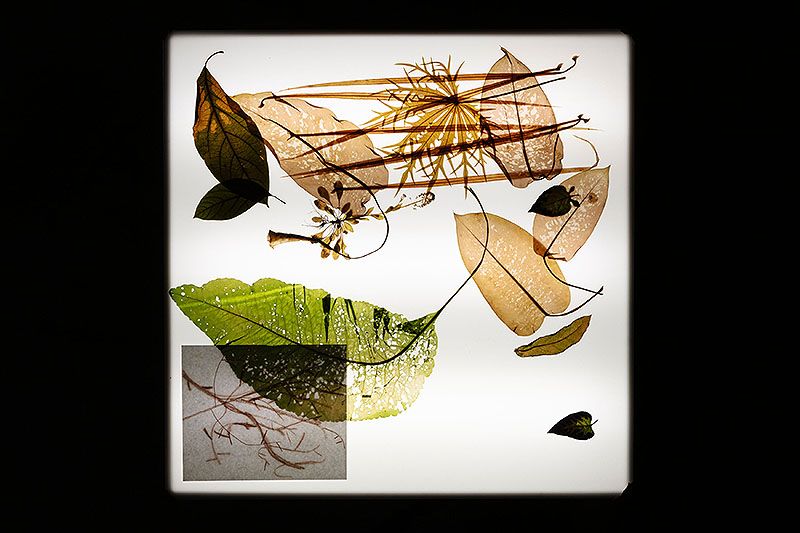 Your practice is characterised by the observation of encounters and interactions between different elements, often everyday objects. Could you elaborate on how you select these materials and what criteria you follow to integrate them into your work?