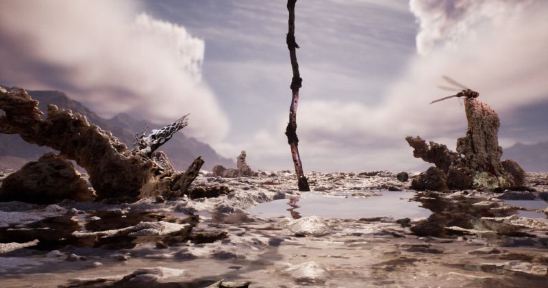 Jakob Kudsk Steensen presenta su último trabajo “The Ephemeral Lake”
