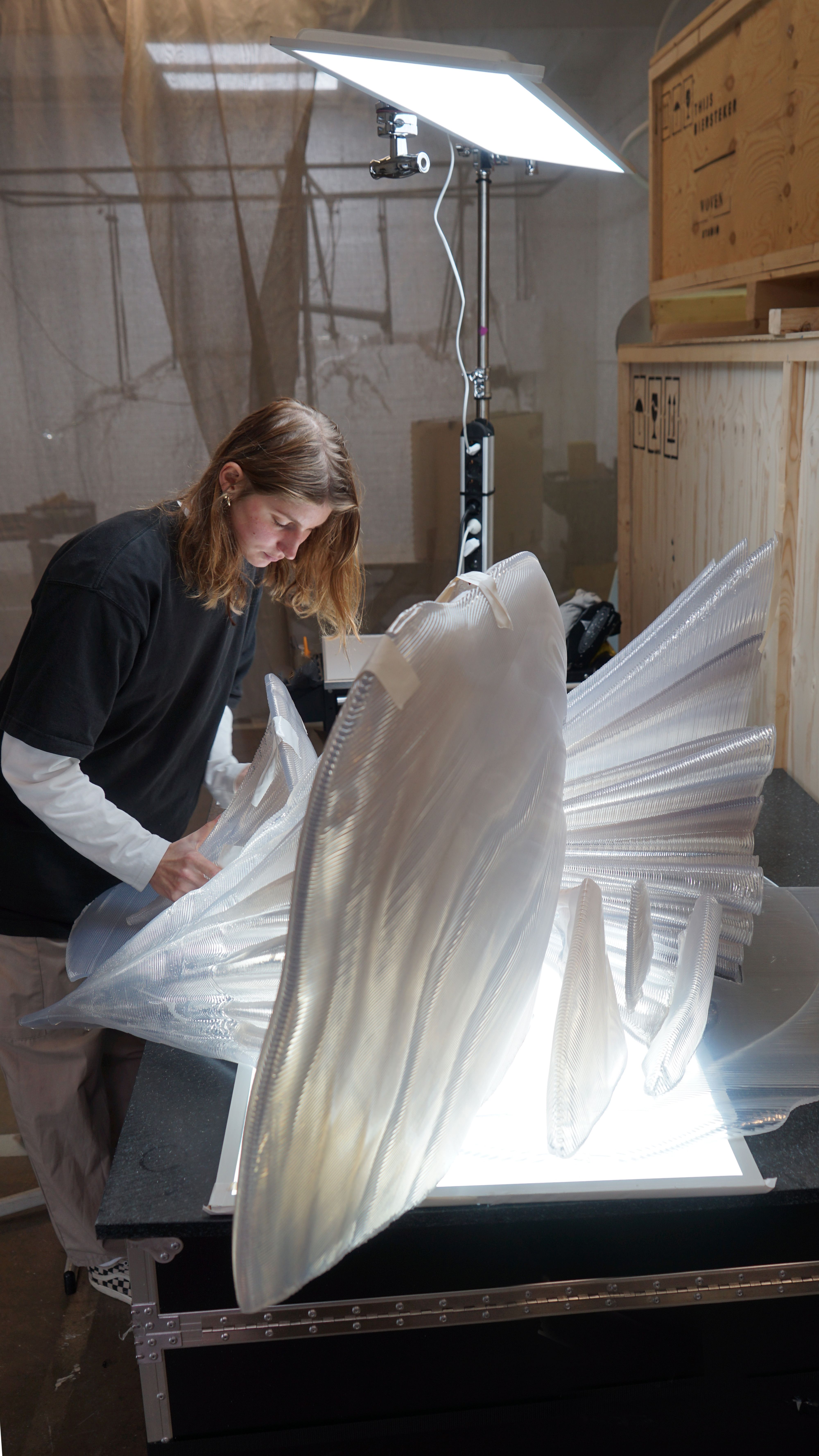 "Thijs Biersteker: Art for Environmental Awareness"