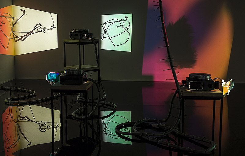 Your practice is characterised by the observation of encounters and interactions between different elements, often everyday objects. Could you elaborate on how you select these materials and what criteria you follow to integrate them into your work?
