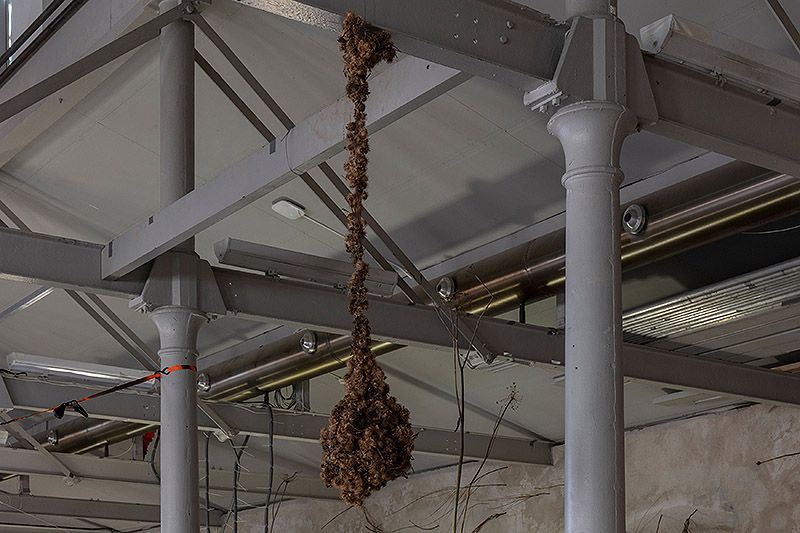 Your practice is characterised by the observation of encounters and interactions between different elements, often everyday objects. Could you elaborate on how you select these materials and what criteria you follow to integrate them into your work?