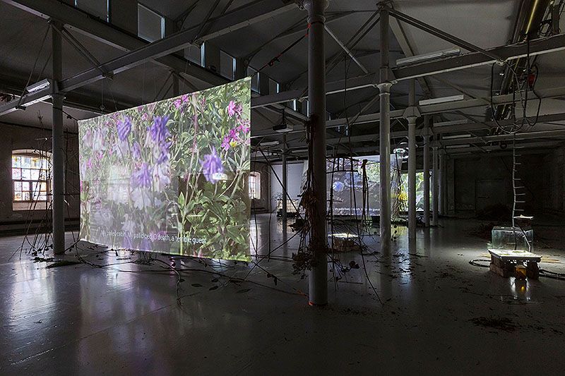 Your practice is characterised by the observation of encounters and interactions between different elements, often everyday objects. Could you elaborate on how you select these materials and what criteria you follow to integrate them into your work?