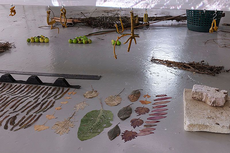 Your practice is characterised by the observation of encounters and interactions between different elements, often everyday objects. Could you elaborate on how you select these materials and what criteria you follow to integrate them into your work?